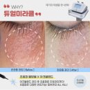 비오텔라피부바디