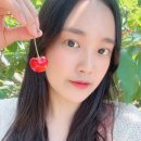 푸름농장2 | 천안 입장면 체리 체험 | 천안푸름체리농원 | 아이랑 가기 좋은 곳