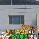 보성반점 이미지