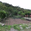 칠곡면사무소 이미지