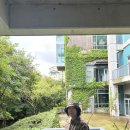 느티나무카정비 | [경기/곤지암] 1박2일 가족휴식지원사업 힐링캠프 곤지암리조트+ 화담숲 가족여행 후기