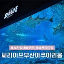 자연보호 헌장비 | 씨라이프부산아쿠아리움 비오는 날 부산 해운대 실내 놀거리