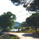 대곡동지석묘군 이미지