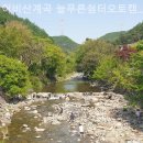 늘푸른쉼터캠핑장 | 가평캠핑장 어비산계곡 늘푸른쉼터오토캠핑장 아이와가기좋은곳