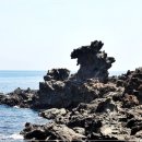 평화의 소리 이미지