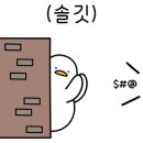 케이만물상