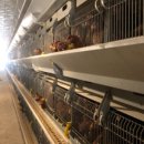 친환경부여농장 이미지