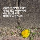 《해인의 바다》중에서 이미지