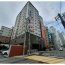 비룡앞 도로변 이미지