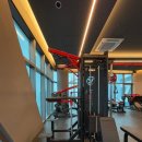 빌리브 패러그라프 피트니스 이미지