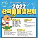 비버코딩 이미지