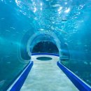 웅천남1로 이미지