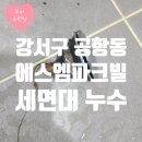 ㈜송정약품 | 송정역 공항동 에스엠파크빌 세면대누수 팝업트랩 교체후기!