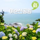 통영 이순신공원 수국 개화상황 주차장 강아지동반 6월 경남 수국 명소