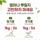 휴머스 | ♣ 텃밭용 소용량 (알비료 & 베스트유기)비료