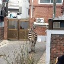 구의제2동 주민센터 이미지