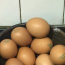 어쩌다토종닭 이미지