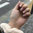 이끌립