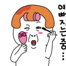 한라에스테틱