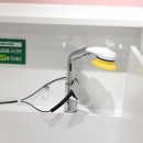 버블독스 이미지