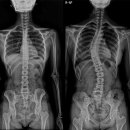 시퀀스무브먼트 이미지