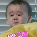 고기꿉다 이미지