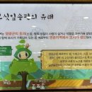 영광모싯잎송편(세종) 이미지