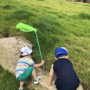 성터민박 이미지