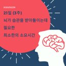 오오오프로젝트 이미지