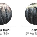 뷰티파이샵(beautify#)