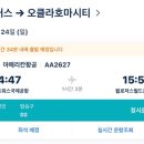 에어라인 (AA) 이미지