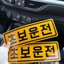 미니펫 강아지분양 고양이분양 부천점 | 25년 9월 넷째주 일상