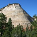 자이언(ZION) 이미지