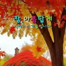 내장산단풍축제/가수성심이/디스코메들리 이미지