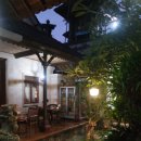 가우리 GAURI 이미지