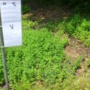 섭이네 농장 이미지