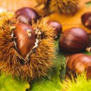 국제산업 이미지