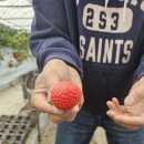 영일농장 이미지