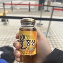 탑팀코리아 | 알렉스 페레이라 팬사인회 후기