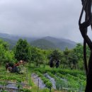 순한농장 네이버블로그