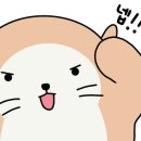 럽잇.럽잇 이미지