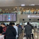 천하제일농장 | 제주가 체고야🍊🧡