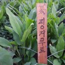 쌍암농장 네이버블로그