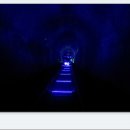 친구야반갑다 이미지