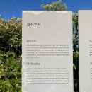 신양리 소교량 30 | [제주여행] 일몰 명소 섭지코지, 황혼의 물결에 스며드는 곳