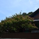 천안 광덕사와 공주 마곡사(2021.07.24)