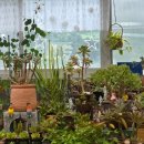 스테이 캄캄 이미지