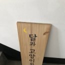 달고나(달과 고양이와 나) 이미지
