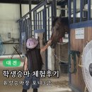 퀸즈승마장 | [대전 학생승마 체험 지원사업 ] 신청 강습비 후기 유성승마장 + 기술능력인증 포니 3급 인증서 발급 방법