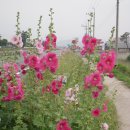 군민운동장 이미지